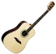 Alvarez Masterwork MD95