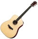 Achat Taylor DN 8