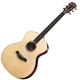 Achat Taylor GA 8