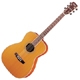 Cort Earth 200GC
