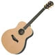 Achat Taylor GS 7 E Cedar/Mahogany