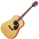 Cort Earth 200