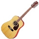 Cort Earth 200-12