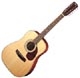 Cort Earth 70 12-cordes