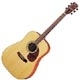Cort Earth 200E