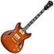 Ibanez AS AS93
