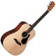 Alvarez Regent RD20S