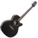 Takamine G series EG440C
