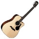 Alvarez Regent RD20SC