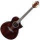 Guitare Ibanez EW EW50CBE