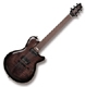 Godin Signature LG Signature