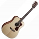 Achat Guild Dreadnought DV 4