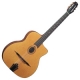 Gitane  GJ 10