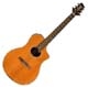 Achat Line 6 Variax Acoustic 700