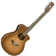 Yamaha APX 5-12A