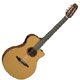 Achat Yamaha APX 5NA