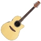 Achat Ovation Celebrity CC 024