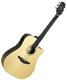 Takamine G5 series EG510SC