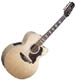 Takamine G5 series EG523SC12
