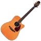 Takamine Supernatural TAN15C