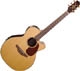 Takamine Supernatural TAN46C