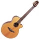 Takamine Natural TAN30C