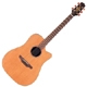 Achat Takamine Natural TAN10C