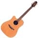 Takamine Natural TAN10C Gaucher