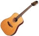Takamine Natural TAN1012