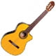 Takamine G5 series EG522SC