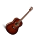 Art & Lutherie  Folk Cedar Antique Burst