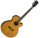 Cort Signature SFX 6W