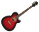 Ibanez ACS AEG 8E