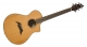 Breedlove  C25/CHR Pro