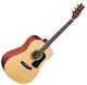 Washburn D10 S