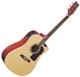 Washburn D10 SCE
