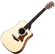 Achat Taylor 300 series 310 CE