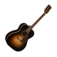 Washburn  WSD5249 signature Warren Haynes