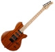 Godin Performance series Exit 22 M