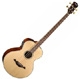 Cort Acoustic Bass series NTL-B
