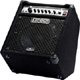 Fender Bassman 100