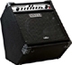 Fender Bassman 150