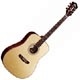 Achat Guild GAD 50