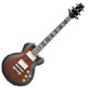 Ibanez Artist Series ARC300
