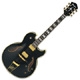 Ibanez Signature PM120 Pat Metheny