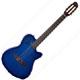 Godin Multiac series ACS