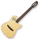Achat Godin Multiac series Nylon Duet
