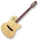 Godin Multiac series Steel Duet