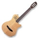 Godin Multiac series Grand Concert Duet