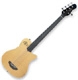 Godin A series A4 Fretless